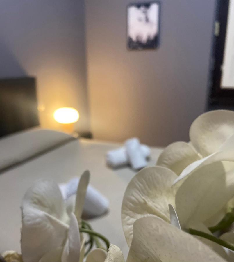 Palazzo Oliveto Bed and Breakfast Firenze Eksteriør billede