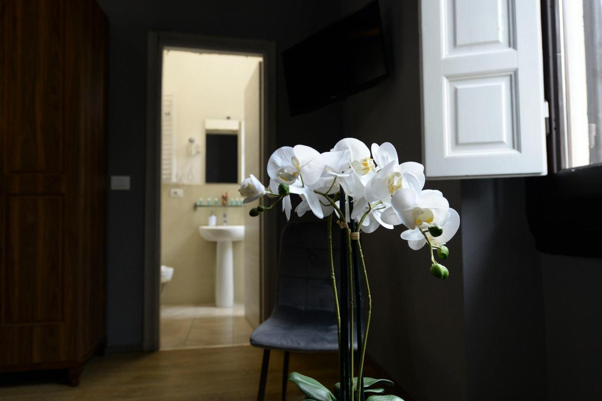 Palazzo Oliveto Bed and Breakfast Firenze Eksteriør billede